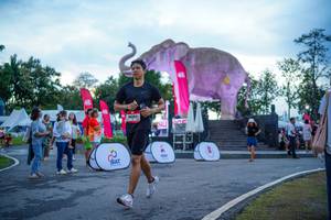 BIB: 
                            <button type="button" onclick="openModal(26551730)" class="btn btn-primary btn-sm float-right btn-popup" data-toggle="modal" data-target=".modal-high-quality">
                        <i class="fas fa-shopping-cart"></i> Add to Cart
                    </button>
                                            <button type="button" onclick="isThisMe(26551730, true)" class="btn btn-success btn-sm float-right btn-popup btn-isme hidden" data-toggle="tooltip" data-placement="bottom" title="นี่คือรูปของคุณใช่ไหม คลิกที่นี่เพื่อเอาเข้าอัลบั้ม">
                        <i class="fas fa-plus"></i> Add to album
                    </button>
                    <button type="button" onclick="isThisMe(26551730, false)" class="btn btn-warning btn-sm float-right btn-popup btn-isnotme hidden">
                        <i class="fas fa-ban"></i> Remove from album
                    </button>